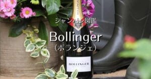 Bollinger_003