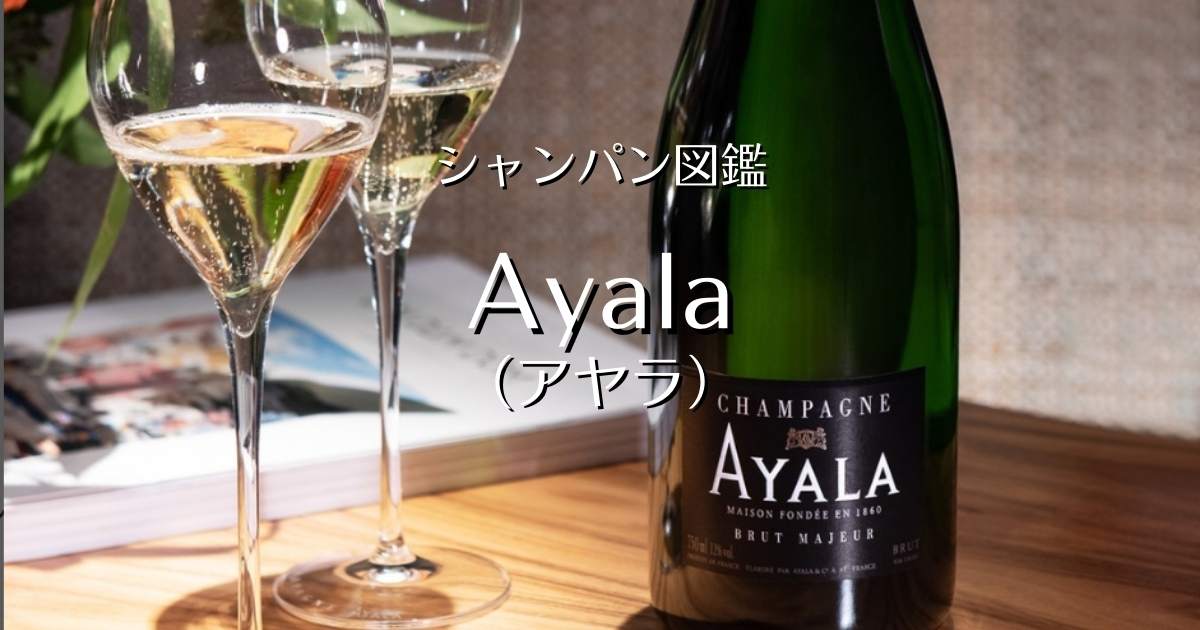 格安新品 【未開栓】AYALA アヤラ CHAMPAGNE シャンパン その他 - www