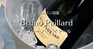 Bruno Paillard_001