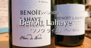 Benoit Lahaye_001