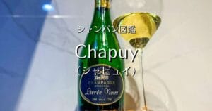 Chapuy_006