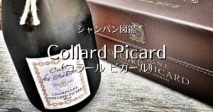Collard Picard_002