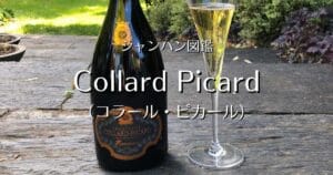 Collard Picard_003