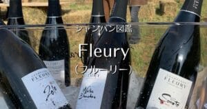 Fleury_003