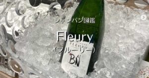 Fleury_004