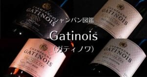 Gatinois_006
