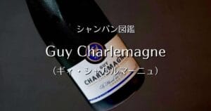 Guy Charlemagne _004