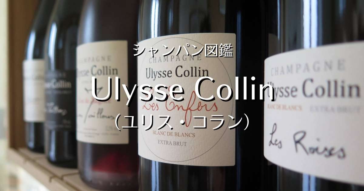 超格安一点 Champagne. Ulysse Collin 'Les Pierrieres' 2016 シャンパーニュ ユリス コラン レ  ピエリエール