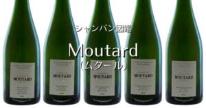 Moutard_002