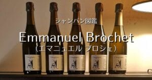 Emmanuel Brochet_002