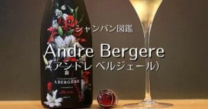 Andre Bergere_001