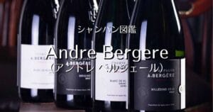 Andre Bergere_002