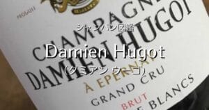 Damien Hugot_001