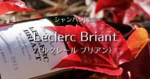 Leclerc Briant_001