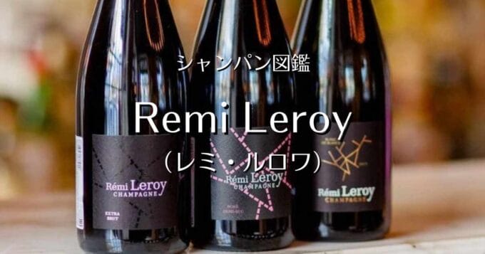 Remi Leroy_001