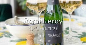 Remi Leroy_002